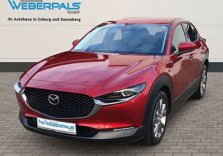 Mazda CX-30 Selection 2WD-NAVI-MATRIX-LED-BOSE-360°KAMERA