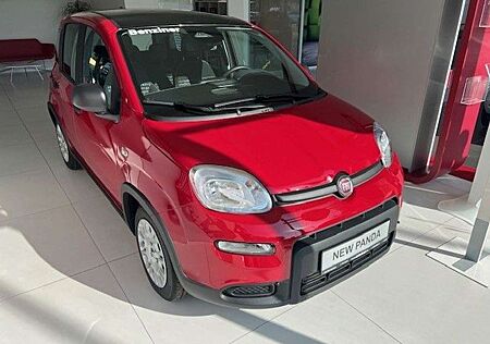 Fiat Panda Pandina