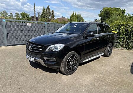 Mercedes-Benz ML 350 BlueEfficiency 360 Kamera Nachtsicht Standh