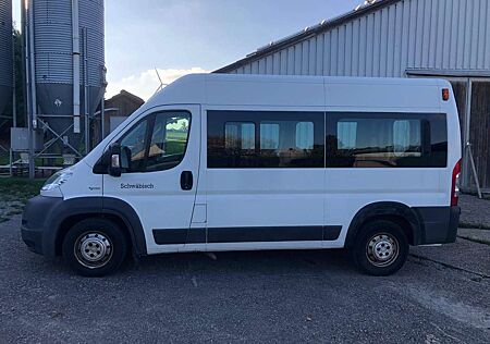 Fiat Ducato CNG Gas 9 Sitzer