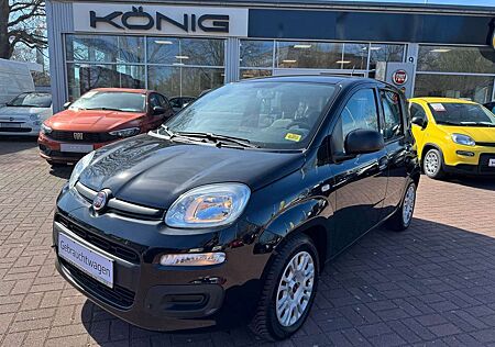 Fiat Panda Urban 1.0 *Klima*PDC