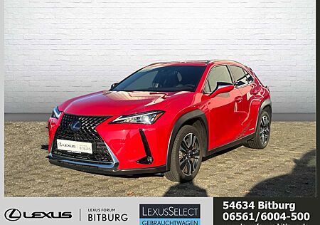 Lexus UX 250h Style Edition /ACC/FLA/ParkAss./SHZ/LM