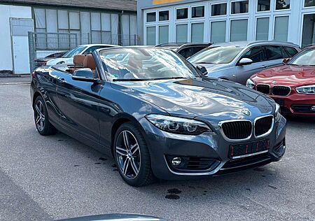 BMW 218 i Aut./Cabrio/Leder-Navi-Pdc