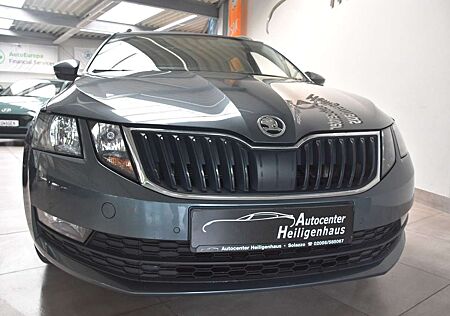 Skoda Octavia Combi Ambition Navi Kamera Tempo AppCon