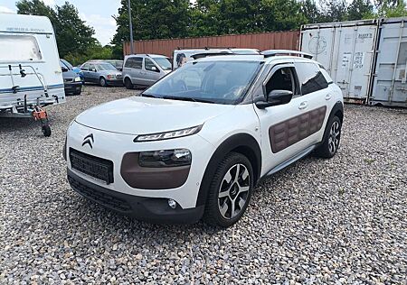 Citroën C4 Cactus Citroen Shine Edition,KLIMA,NAVI,SITZHEIZUNG