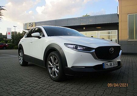 Mazda CX-30 SELECTION 2,0 122 PS
