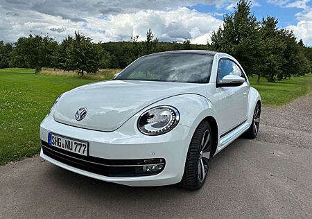 VW Beetle Volkswagen Lim. Cup TOP Zustand TOP Ausstattung Pano