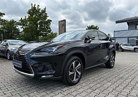 Lexus NX 350h 300 h E-Four *gehobene Ausstattung!
