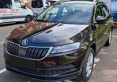 Skoda Karoq 2.0 TDI SCR 4x4 DSG Style + Winterreifen