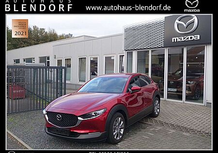 Mazda CX-30 Selection Automatik Navi|MatrixLED|Kamera