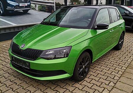 Skoda Fabia 1.2 TSI Ambition SHZ|Temp|Alu|Metallic