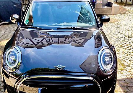Mini ONE Blackyard