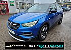 Opel Grandland X INNOVATION Winter Paket/ Allwetterreifen