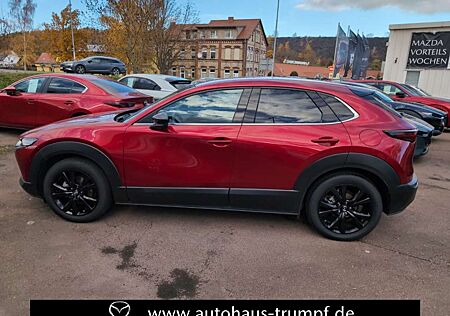 Mazda CX-30 2.5L e-SKYACTIV G 140ps Automatik Homura