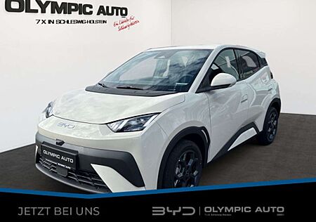 BYD DOLPHIN Surf Comfort 43kWh 360°KAMERA LED SITZHZ