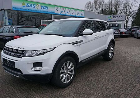 Land Rover Range Rover Evoque Pure Komisionsverkauf