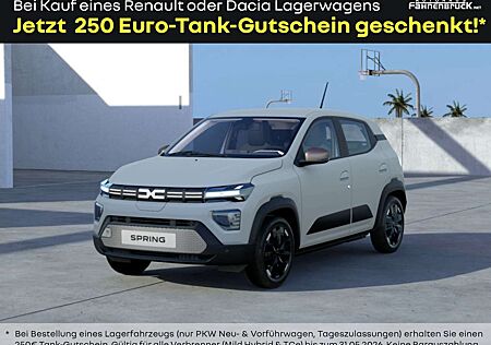 Dacia Spring Extreme electric 100 Navi PDC