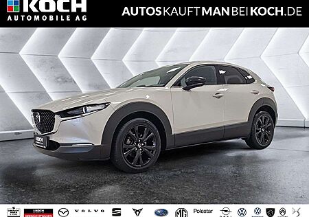 Mazda CX-30 gebraucht kaufen Mazda CX-30 2.0 SKYACTIV-X M Hy. Homura AT Navi ACC