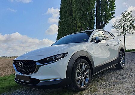Mazda CX-30 Selection 186 PS, AHK, Bose, Leder, diverse Pakete