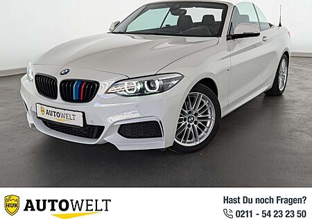 BMW 218i 218 Cabrio M Sport LED+NAVI+PDC+SHZ+TEMP+