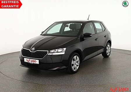 Skoda Fabia 1.0 MPI Cool Edition Sitzheizung DAB Klima
