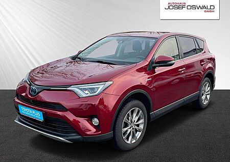 Toyota RAV 4 RAV4 Team D