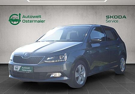 Skoda Fabia 1.0 TSI Clever*Smartlink*Navi*Climtr.*
