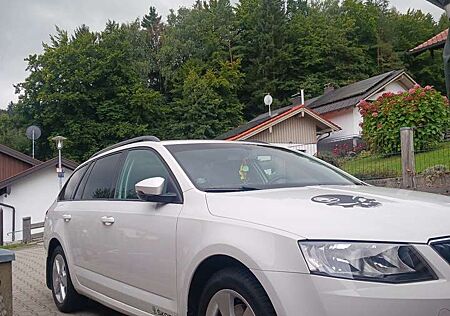 Skoda Octavia Combi 2.0 TDI Green tec DSG Edition