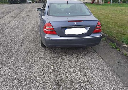 Mercedes-Benz E 320 gebraucht kaufen Mercedes-Benz E 320 Elegance