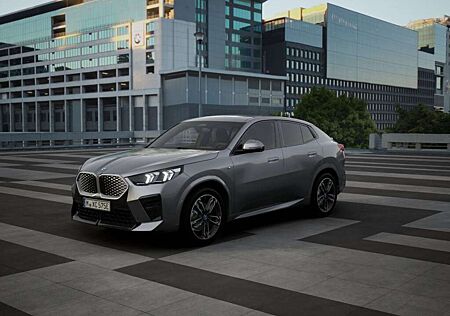 BMW iX2 xDrive30 ///M-Sport ACC adapt.Fw. AHK 360°