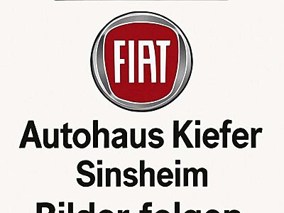 Fiat 500X Basis