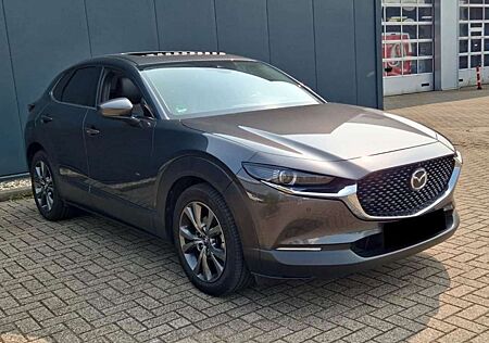 Mazda CX-3 0 Selection 360Kamera Leder Panorama ACC