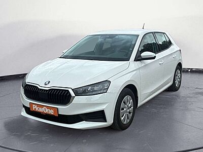 Skoda Fabia 1.0 TSI Active PDC*SHZ*CARPLAY*LED*DAB+*KL