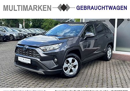 Toyota RAV 4 Hybrid 4x4 Team Deutschland 2.5 VVT-i Navi/LED/ACC