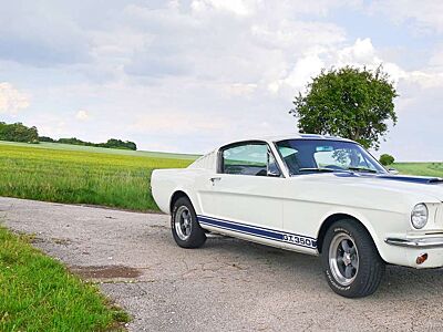 Ford Mustang GT 350 Fastback Shelby