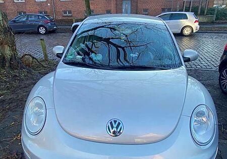 VW New Beetle Volkswagen