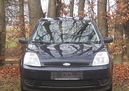 Ford Fiesta 1.3 Ambiente