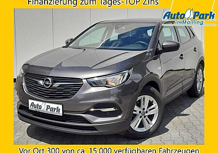 Opel Grandland X Edition NAVI/APP~2xPDC~RFK~SHZ~LHZ