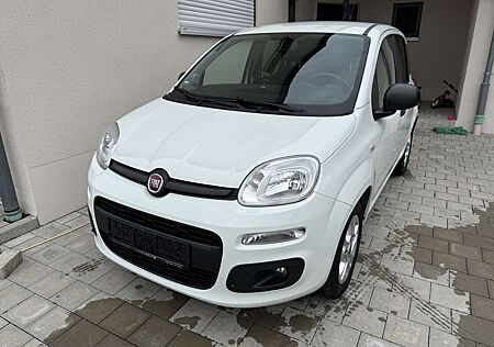 Fiat New Panda More *Standheizung*