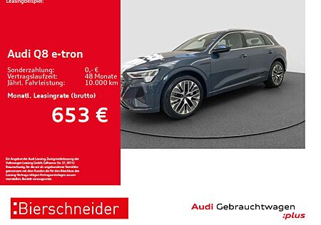 Audi Q8 e-tron 55 qu advanced AHK PANO MATRIX 21