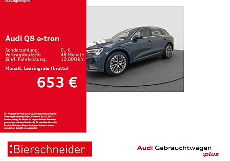 Audi Q8 e-tron 55 qu advanced AHK PANO MATRIX 21