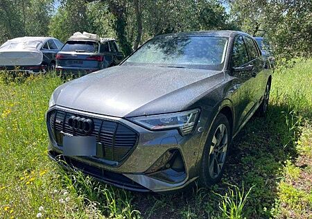 Audi e-tron 55 S LINE MATRIX/ACC/AIR-SUS/KEYLESS/360°