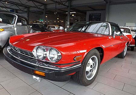 Jaguar XJS V12 - 5.3 Convertible