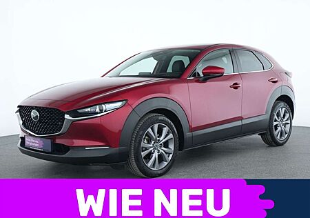 Mazda CX-30 gebraucht kaufen Mazda CX-30 Selection ACC|Head-up|Matrix-LED|BOSE