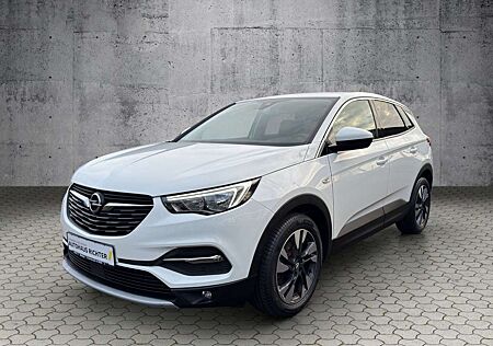 Opel Grandland X Grandland Innovation TOTER-WINKEL-WARNER, KAMERA