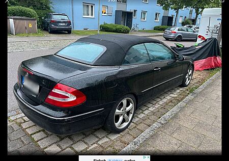 Mercedes-Benz CLK 500 Cabrio Avantgarde