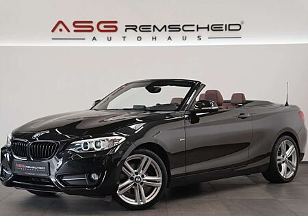 BMW 220 d Cabrio Sport Line *Navi *PDC *Leder *Klima