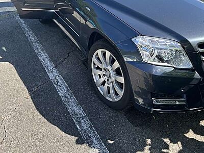 Mercedes-Benz GLK 250 GLK 250 CDI BlueEfficiency 4Matic Sport Edition (204.982)