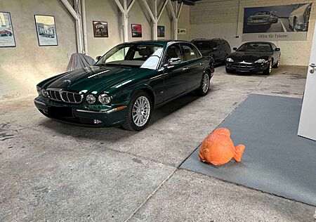 Jaguar XJ6 2.7 D Executive Aut. Xenon PDC SHZ Pano Leder