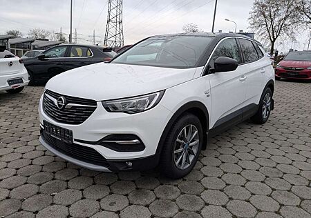 Opel Grandland X 2020 #AGR Sitz #18"-LM-Felgen #LED-Scheinwerfer